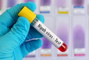 Apa Itu Virus Nipah? Ini Asal Mula Penyebarannya!